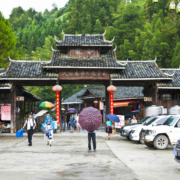 Longhi Rijstterrassen