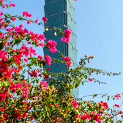 Taipei 101