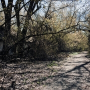 Zalissya, bij Tsjernobyl